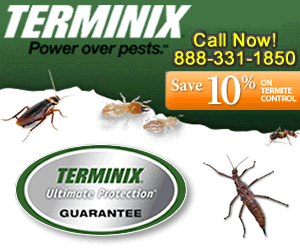 Terminix Phone Number
